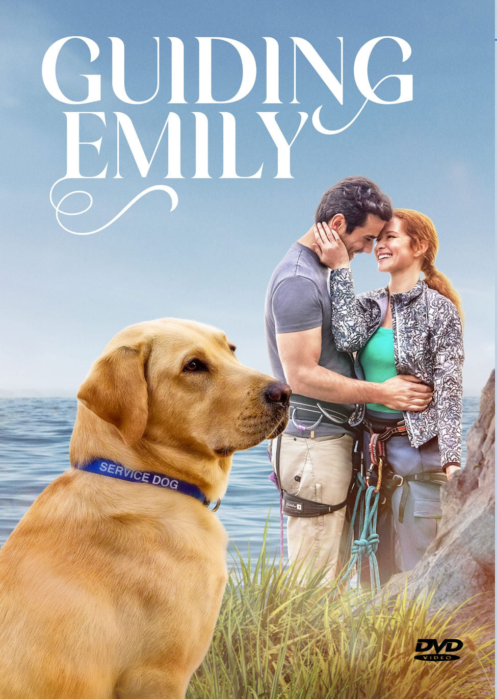 Guiding Emily 2023 DVD Sarah Drew Antonio Cupo Eric McCormack Garth “Guiding Emily” Barbara Hinske
